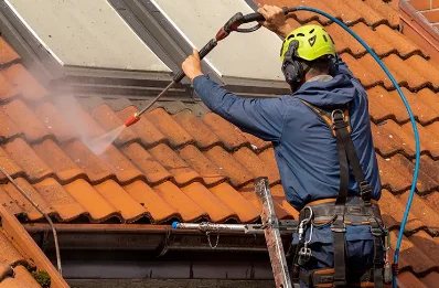 Démoussage et hydrofuge de toiture à Vieux-Bourg